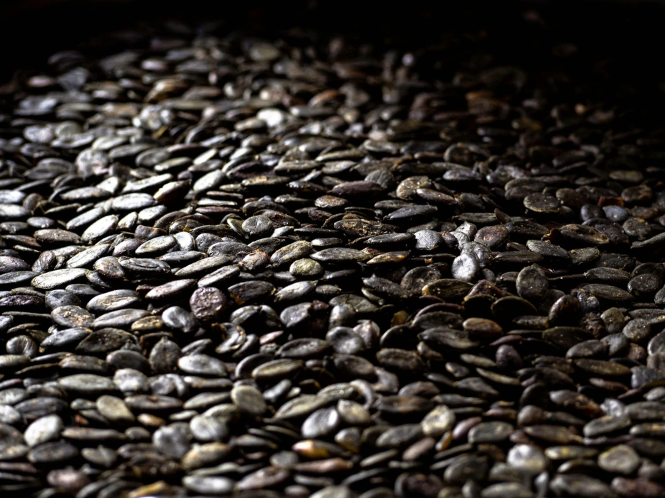 a close-up of a pile of rocks